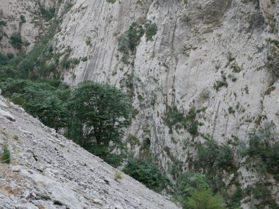 Склон в ущелье Платие каньона Морача