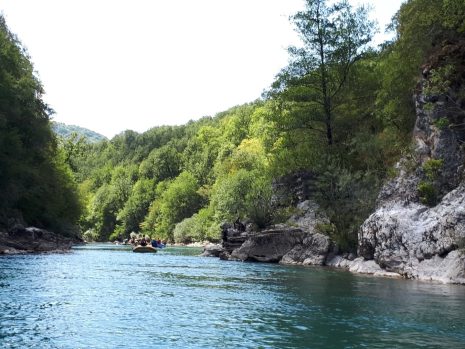 Спокойная река Тара во время рафтинга