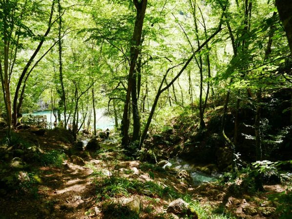 Тропинка к водопаду на рафтинге
