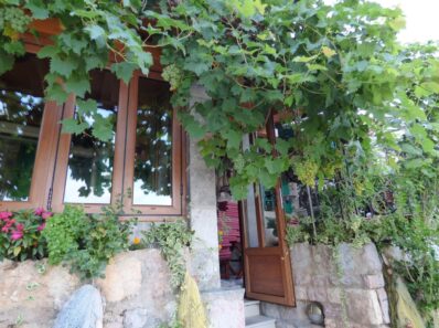 Виноград служит украшением дома