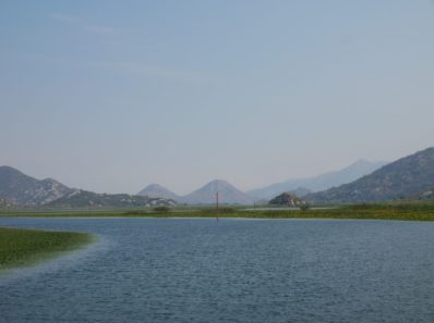 Типичный пейзаж Скадарского озера