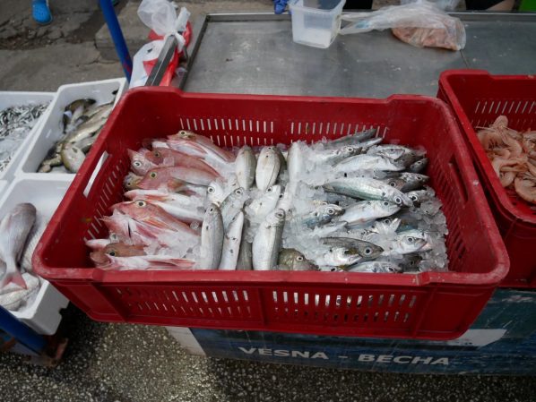 Свежие морепродукты на набережной Будвы, Черногория